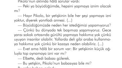 2. Sınıf İlke Yayınları Türkçe Ders Kitabı Sayfa 267 Cevapları