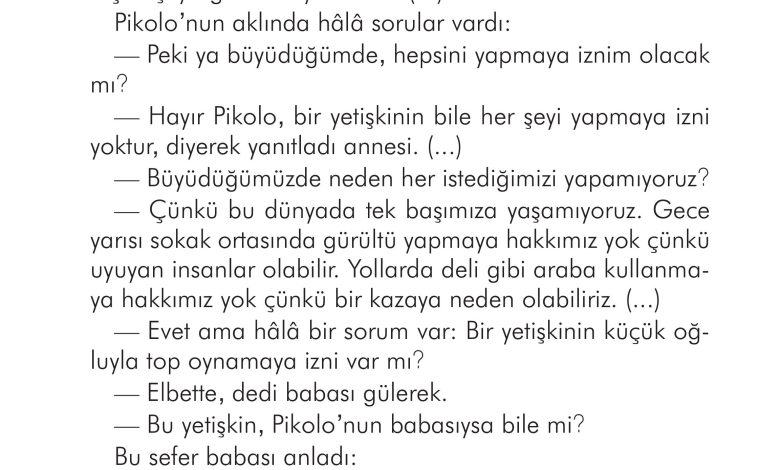 2. Sınıf İlke Yayınları Türkçe Ders Kitabı Sayfa 267 Cevapları