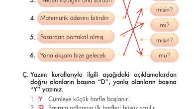 2. Sınıf İlke Yayınları Türkçe Ders Kitabı Sayfa 269 Cevapları