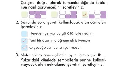 2. Sınıf İlke Yayınları Türkçe Ders Kitabı Sayfa 270 Cevapları