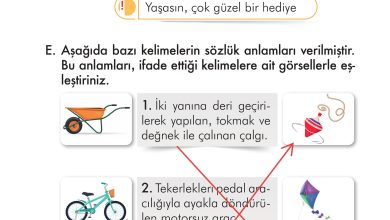 2. Sınıf İlke Yayınları Türkçe Ders Kitabı Sayfa 271 Cevapları