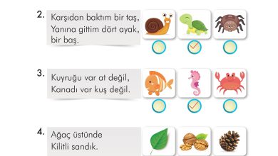 2. Sınıf İlke Yayınları Türkçe Ders Kitabı Sayfa 272 Cevapları