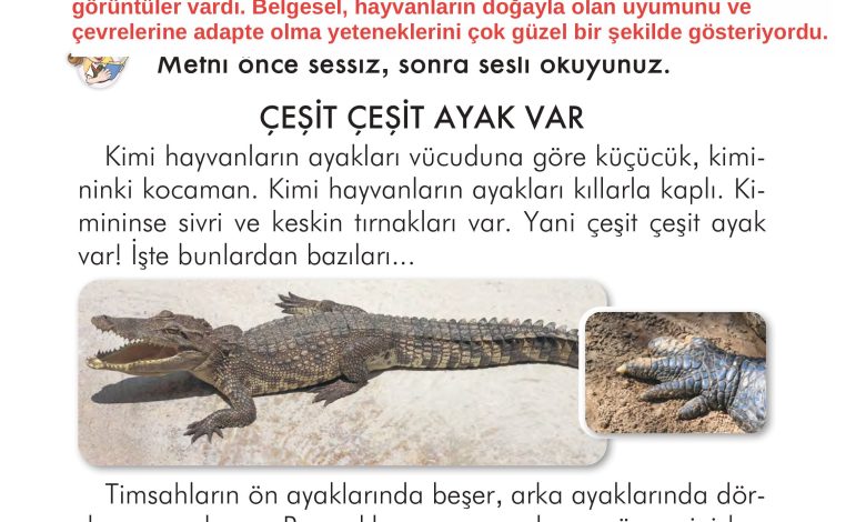 2. Sınıf İlke Yayınları Türkçe Ders Kitabı Sayfa 274 Cevapları