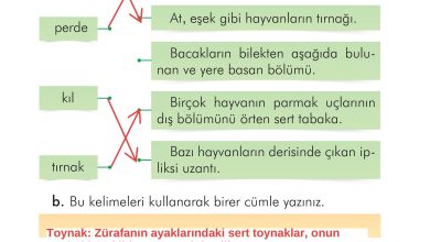 2. Sınıf İlke Yayınları Türkçe Ders Kitabı Sayfa 276 Cevapları