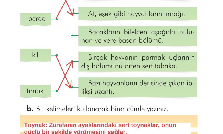 2. Sınıf İlke Yayınları Türkçe Ders Kitabı Sayfa 276 Cevapları