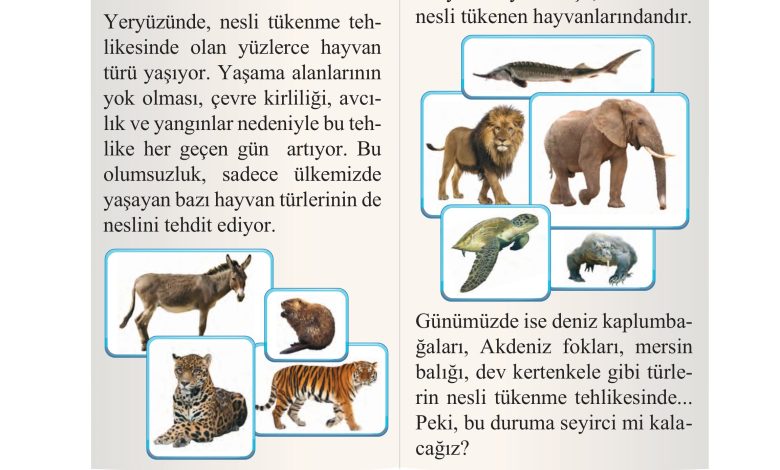 2. Sınıf İlke Yayınları Türkçe Ders Kitabı Sayfa 279 Cevapları