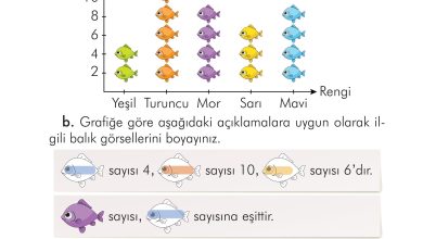 2. Sınıf İlke Yayınları Türkçe Ders Kitabı Sayfa 281 Cevapları