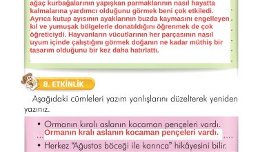 2. Sınıf İlke Yayınları Türkçe Ders Kitabı Sayfa 282 Cevapları