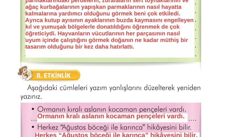 2. Sınıf İlke Yayınları Türkçe Ders Kitabı Sayfa 282 Cevapları