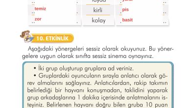 2. Sınıf İlke Yayınları Türkçe Ders Kitabı Sayfa 283 Cevapları