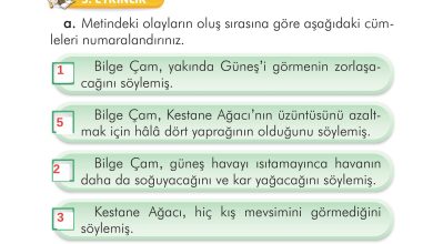 2. Sınıf İlke Yayınları Türkçe Ders Kitabı Sayfa 289 Cevapları