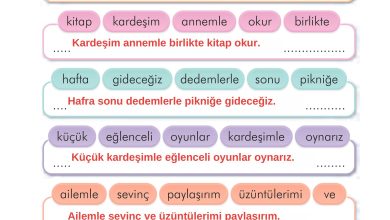 2. Sınıf İlke Yayınları Türkçe Ders Kitabı Sayfa 29 Cevapları