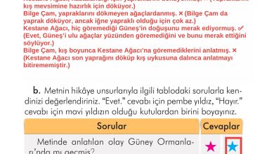 2. Sınıf İlke Yayınları Türkçe Ders Kitabı Sayfa 290 Cevapları