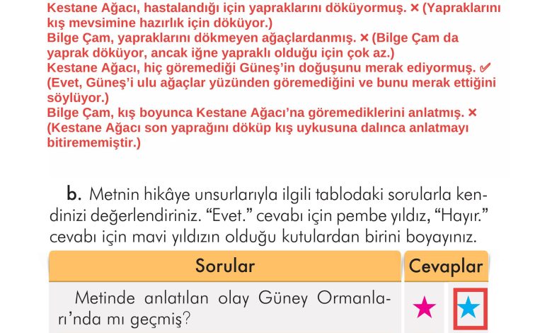 2. Sınıf İlke Yayınları Türkçe Ders Kitabı Sayfa 290 Cevapları