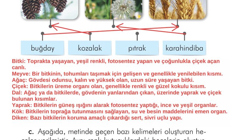 2. Sınıf İlke Yayınları Türkçe Ders Kitabı Sayfa 296 Cevapları