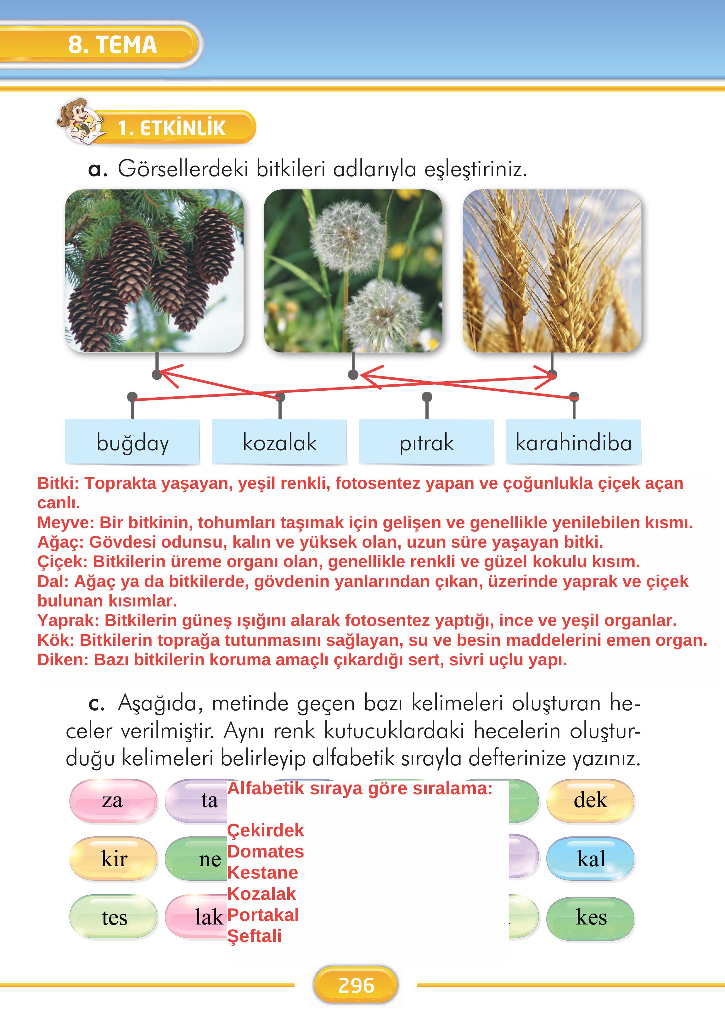 2. Sınıf İlke Yayınları Türkçe Ders Kitabı Sayfa 296 Cevapları