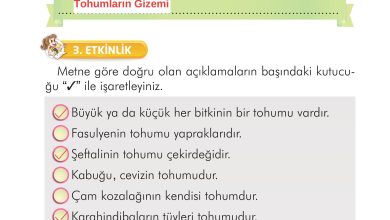 2. Sınıf İlke Yayınları Türkçe Ders Kitabı Sayfa 297 Cevapları