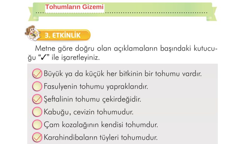 2. Sınıf İlke Yayınları Türkçe Ders Kitabı Sayfa 297 Cevapları