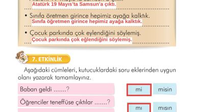 2. Sınıf İlke Yayınları Türkçe Ders Kitabı Sayfa 300 Cevapları