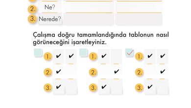 2. Sınıf İlke Yayınları Türkçe Ders Kitabı Sayfa 310 Cevapları