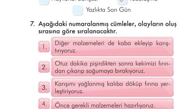 2. Sınıf İlke Yayınları Türkçe Ders Kitabı Sayfa 311 Cevapları