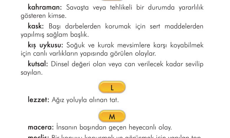 2. Sınıf İlke Yayınları Türkçe Ders Kitabı Sayfa 314 Cevapları