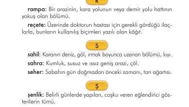 2. Sınıf İlke Yayınları Türkçe Ders Kitabı Sayfa 315 Cevapları