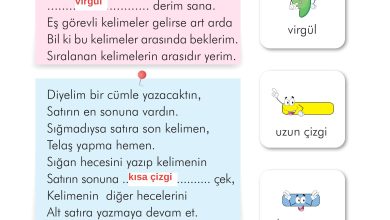 2. Sınıf İlke Yayınları Türkçe Ders Kitabı Sayfa 36 Cevapları