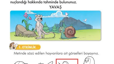 2. Sınıf İlke Yayınları Türkçe Ders Kitabı Sayfa 38 Cevapları