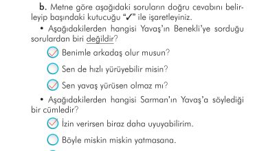 2. Sınıf İlke Yayınları Türkçe Ders Kitabı Sayfa 39 Cevapları