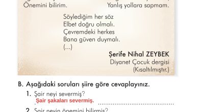 2. Sınıf İlke Yayınları Türkçe Ders Kitabı Sayfa 46 Cevapları