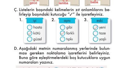 2. Sınıf İlke Yayınları Türkçe Ders Kitabı Sayfa 47 Cevapları