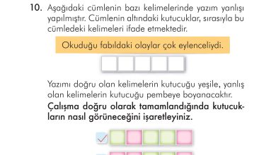 2. Sınıf İlke Yayınları Türkçe Ders Kitabı Sayfa 50 Cevapları