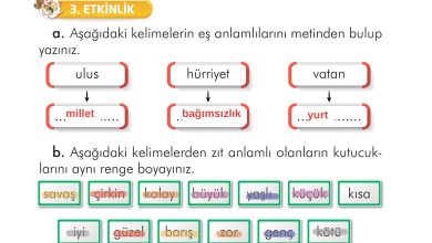 2. Sınıf İlke Yayınları Türkçe Ders Kitabı Sayfa 54 Cevapları