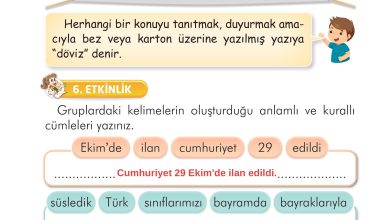 2. Sınıf İlke Yayınları Türkçe Ders Kitabı Sayfa 55 Cevapları