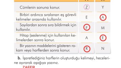 2. Sınıf İlke Yayınları Türkçe Ders Kitabı Sayfa 59 Cevapları