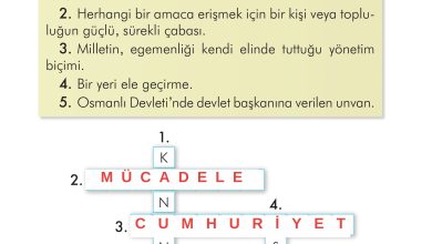 2. Sınıf İlke Yayınları Türkçe Ders Kitabı Sayfa 62 Cevapları