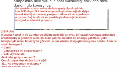 2. Sınıf İlke Yayınları Türkçe Ders Kitabı Sayfa 75 Cevapları