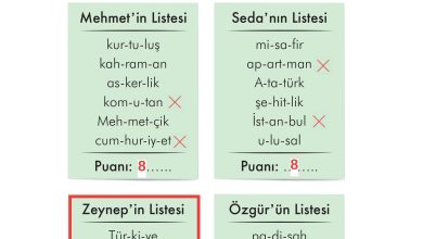 2. Sınıf İlke Yayınları Türkçe Ders Kitabı Sayfa 82 Cevapları