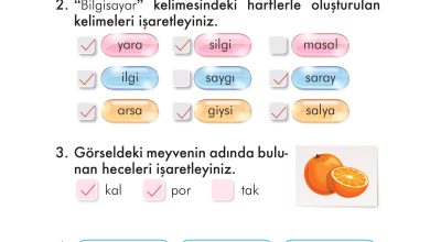 2. Sınıf İlke Yayınları Türkçe Ders Kitabı Sayfa 86 Cevapları