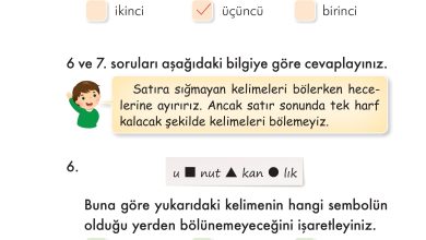 2. Sınıf İlke Yayınları Türkçe Ders Kitabı Sayfa 87 Cevapları