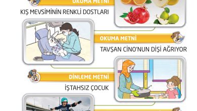 2. Sınıf İlke Yayınları Türkçe Ders Kitabı Sayfa 89 Cevapları