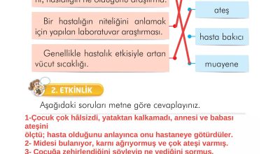 2. Sınıf İlke Yayınları Türkçe Ders Kitabı Sayfa 93 Cevapları