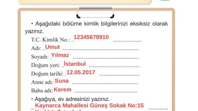 2. Sınıf İlke Yayınları Türkçe Ders Kitabı Sayfa 96 Cevapları