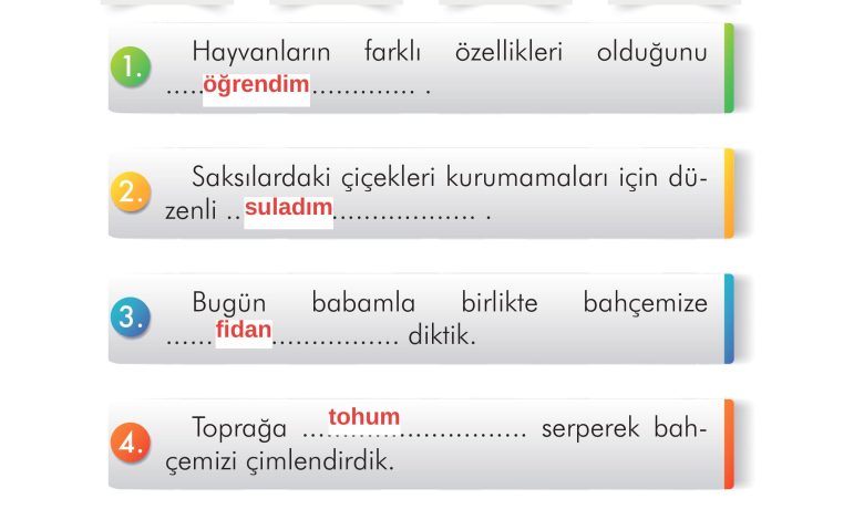 2. Sınıf İlke Yayınları Türkçe Ders Kitabı Sayfa 312 Cevapları