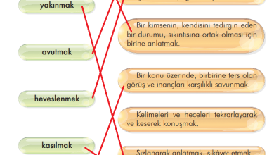 3. Sınıf İlke Yayınları Türkçe Ders Kitabı Sayfa 101 Cevapları