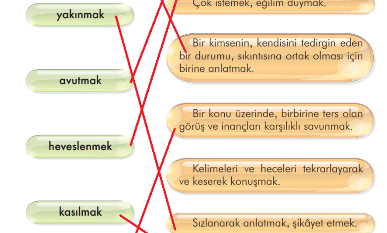 3. Sınıf İlke Yayınları Türkçe Ders Kitabı Sayfa 101 Cevapları