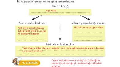 3. Sınıf İlke Yayınları Türkçe Ders Kitabı Sayfa 103 Cevapları