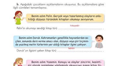 3. Sınıf İlke Yayınları Türkçe Ders Kitabı Sayfa 104 Cevapları