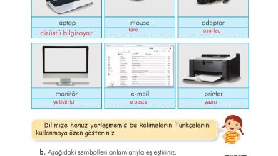 3. Sınıf İlke Yayınları Türkçe Ders Kitabı Sayfa 105 Cevapları